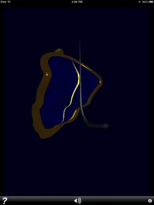 SunDalí app image 11